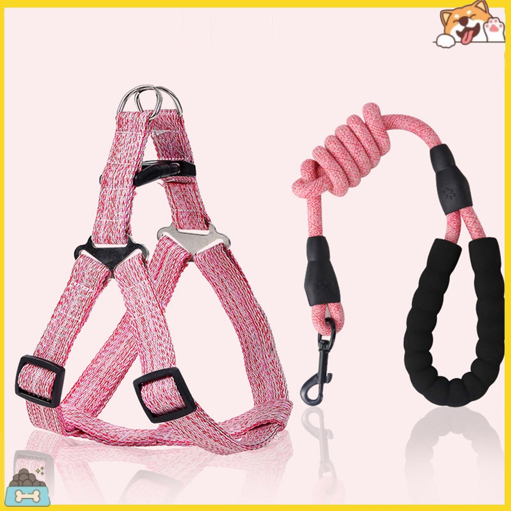 Dây dắt thú cưng đi dạo tiện lợi 120cm