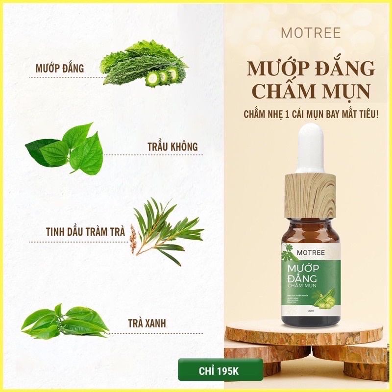 [Mã BMLTA50 giảm đến 50K đơn 99K] Gel chấm mụn MƯỚP ĐẮNG MOTREE 20ML