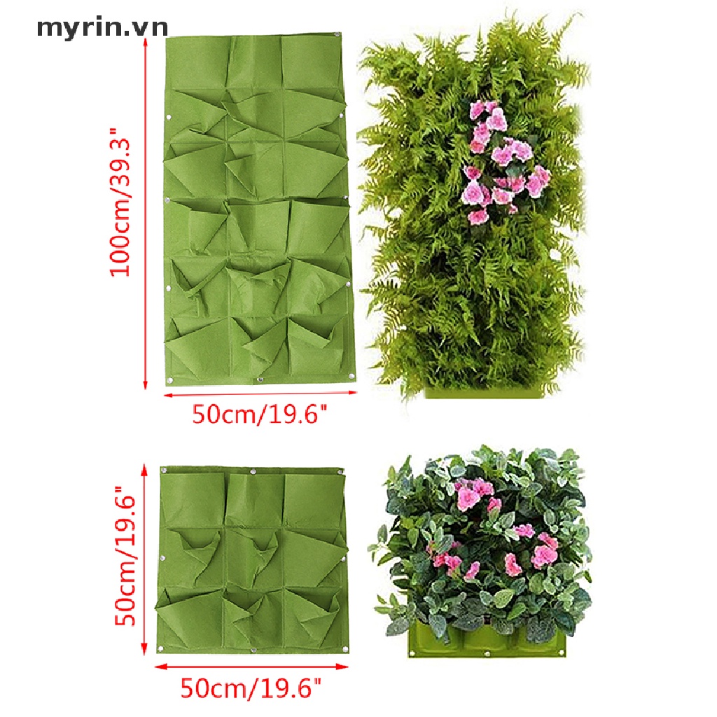 Túi Trồng Cây Treo Tường Dạng Đứng