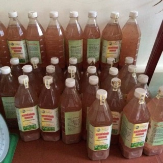 Combo 5 chai dịch Chuối Nguyễn Quốc Tư