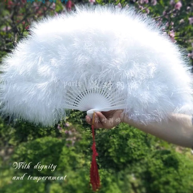 [VIDEO-ẢNH THẬT] Quạt lông vũ trắng dày mềm mịn | BigBuy360 - bigbuy360.vn