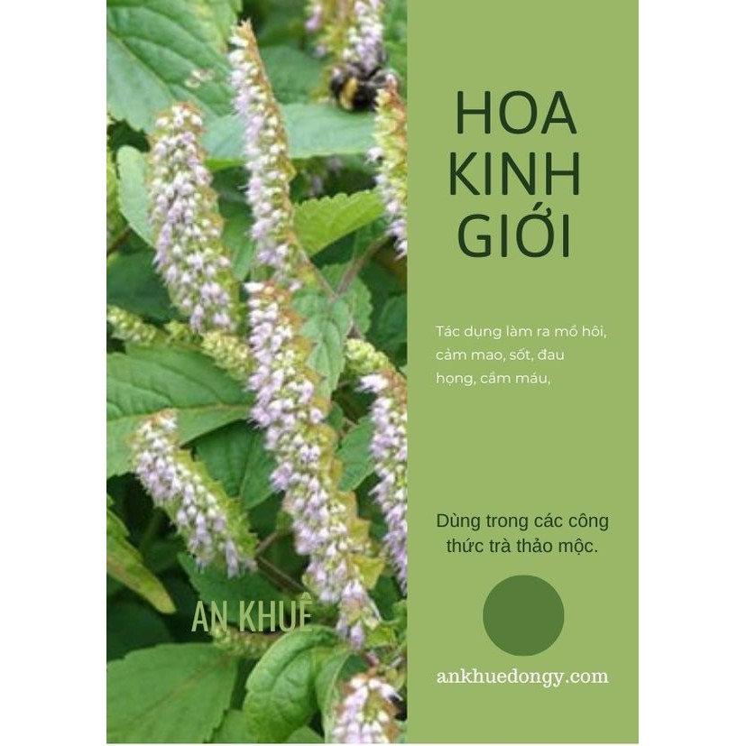 HOA KINH GIỚI - THẢO MỘC AN KHUÊ