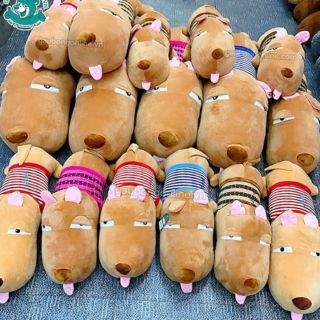 Gấu bông chó Puco