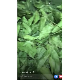 500Gam Lá mắc mật sấy khô Lạng Sơn