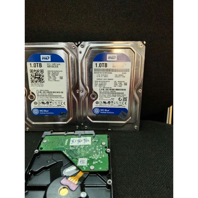 Ổ Cứng Wdc 1tb | BigBuy360 - bigbuy360.vn