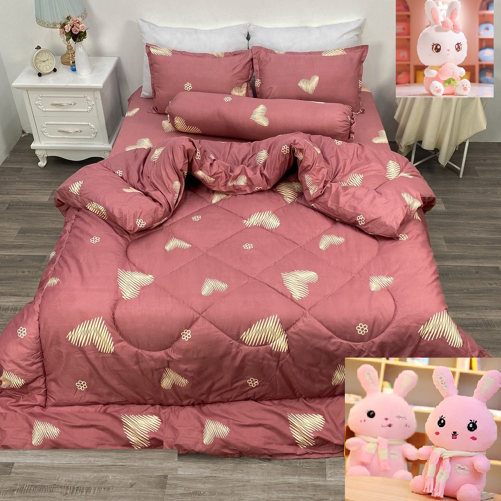 Chăn Phao Poly Cotton Có Ruột Bông Dày Siêu Ấm Áp Mùa Đông, Nhiều Mẫu Lựa Chọn