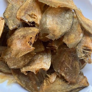 CÁC SẶC BƯỚM - SẶC ĐỒNG CHÍNH HIỆU