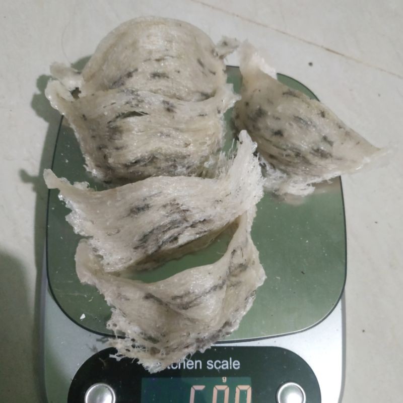 Yến Sào Thô nguyên tổ còn lông Cần Giờ 30g 50g 100g