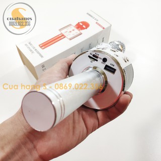 Mic hát Karaoke đa năng WS-858