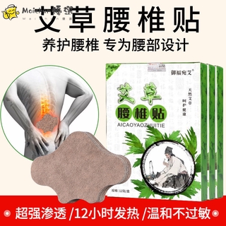 (hàng Mới Về) Hộp Miếng Dán Chiết Xuất Cây Ngải Đắng Giảm Đau Thắt Lưng