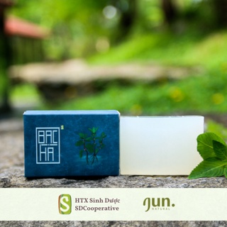 Xà bông Sinh Dược BẠC HÀ 100g