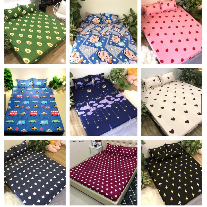 Ga trải giường cotton poly