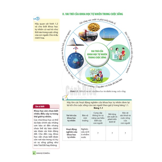Sách - Khoa học tự nhiên 6 (Cánh diều)