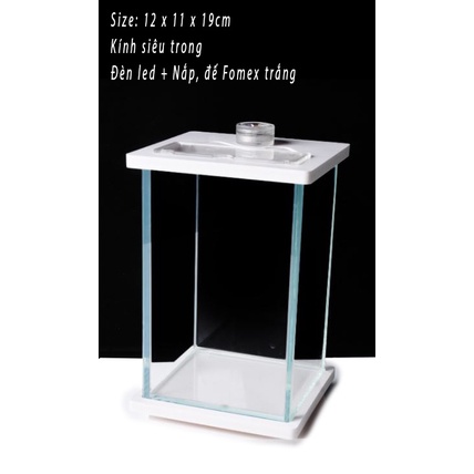 Bể cá chọi Bể cá mini để bàn Betta-02