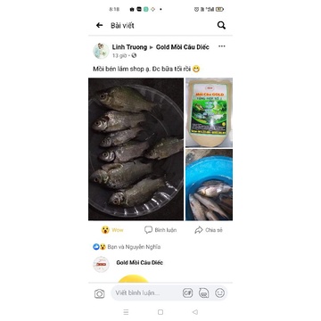 Mồi câu cá thương hiệu Gold. combo 4 gói