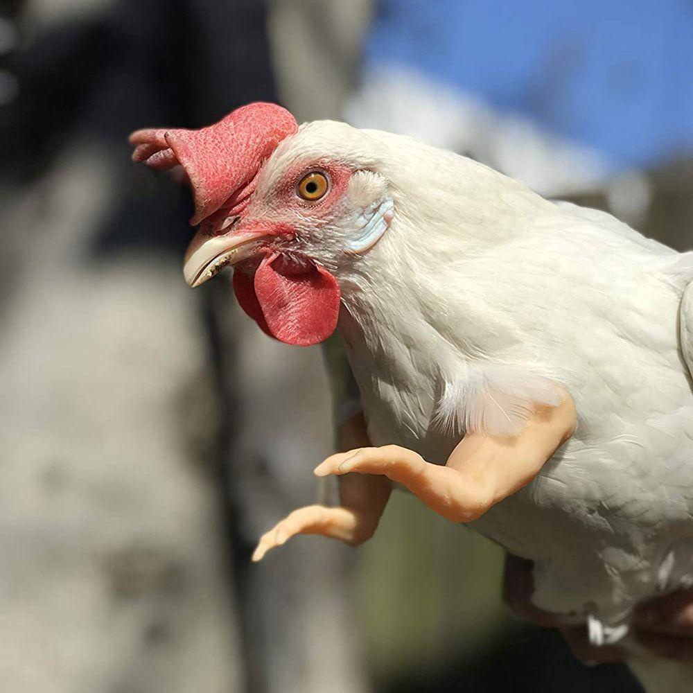 MIQUEL Cánh Tay Chim Đồ Chơi Bằng ABS Dùng Làm Đạo Cụ Chụp Ảnh