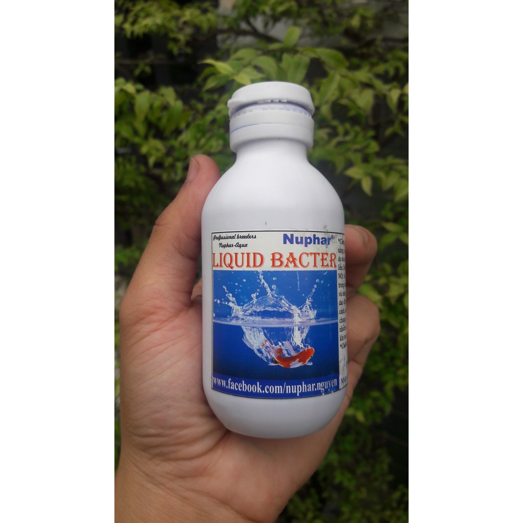 Liquid Bacter - Thuốc đặc biệt dùng để xử lí nước - khử độc nước - chống sốc khi thả cá mới về