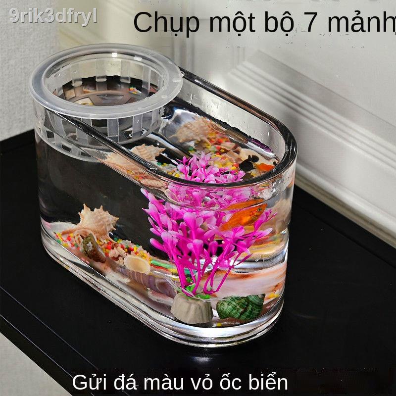 ✣ ✿∋♗Một lần đúc bể cá nhỏ thủy tinh dài bảy màu vành đai trong suốt giỏ trồng đơn giản bàn phòng khác