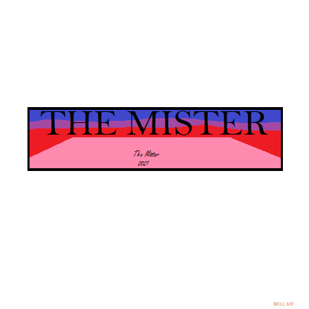 THE_MISTER, Cửa hàng trực tuyến | WebRaoVat - webraovat.net.vn