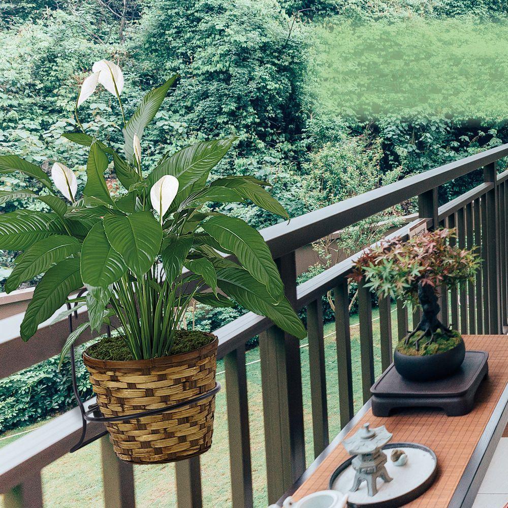 KRNY Set 2 Giá Sắt Treo Chậu Hoa Trang Trí Ban Công
