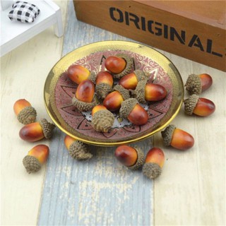 Phụ kiện chụp ảnh quả hạt dẻ, thông khô