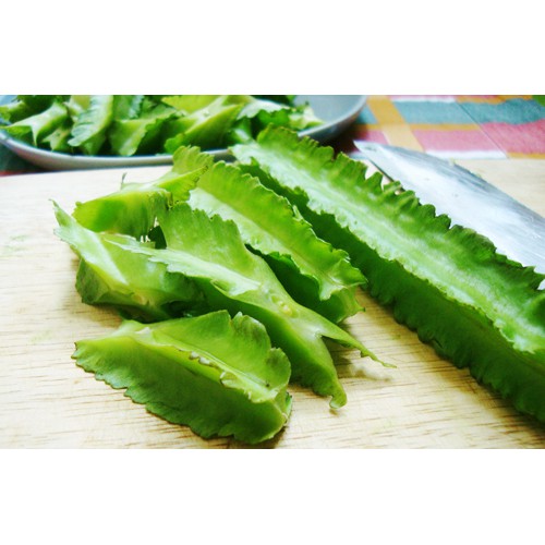 Hạt Giống Đậu Rồng