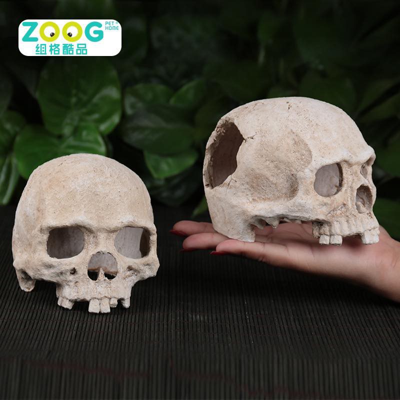 Nhà đầu lâu nửa đầu dành cho bò sát/hamster/đuôi mập halloween