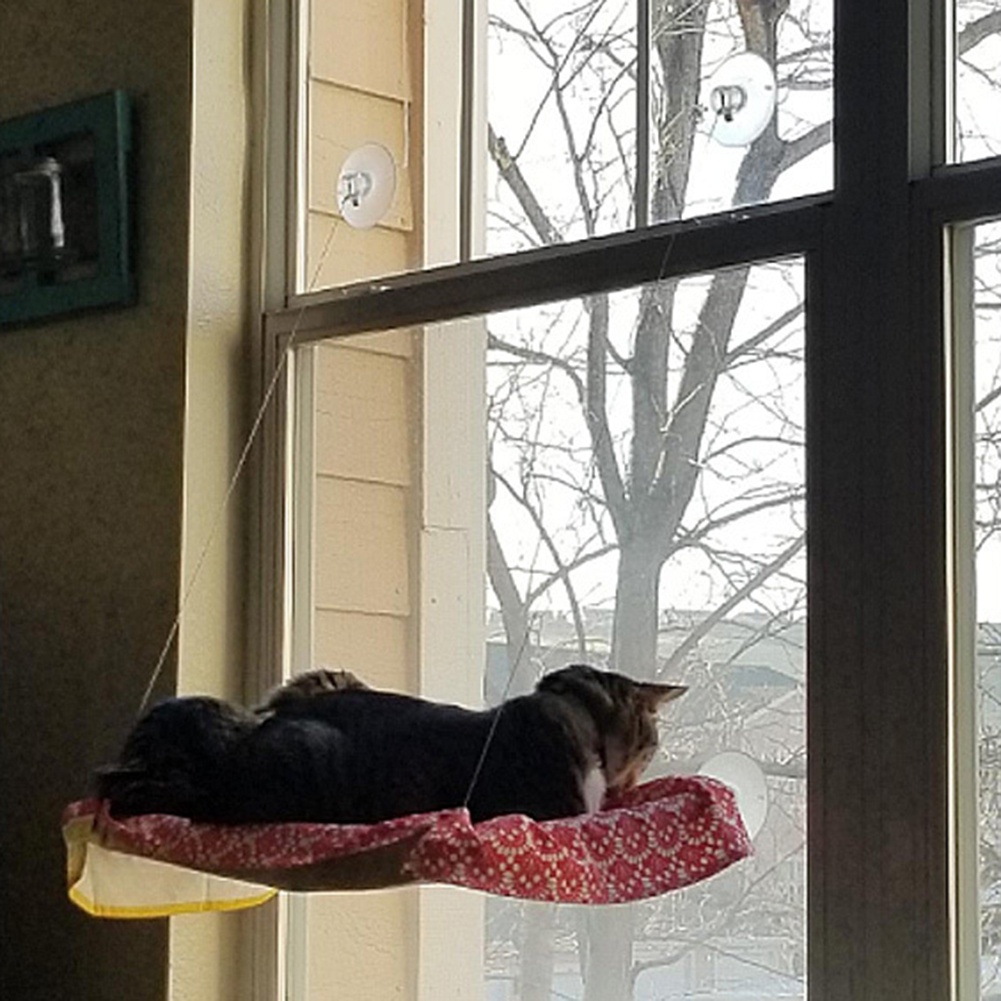 Võng Nằm Cho Thú Cưng Có Giác Hút Gắn Cửa Sổ