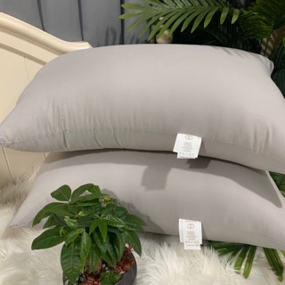 Cặp ruột gối nằm size 50x70