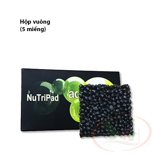 Giá thể trồng cây Thủy Mộc Nutripad dinh dưỡng đậm đặc ươm trồng cây thủy sinh