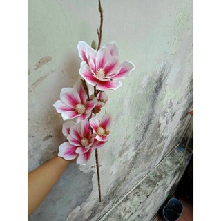 Mộc Lan Cao Su (5 Bông To HÀNG CAO CẤP Loại 1)