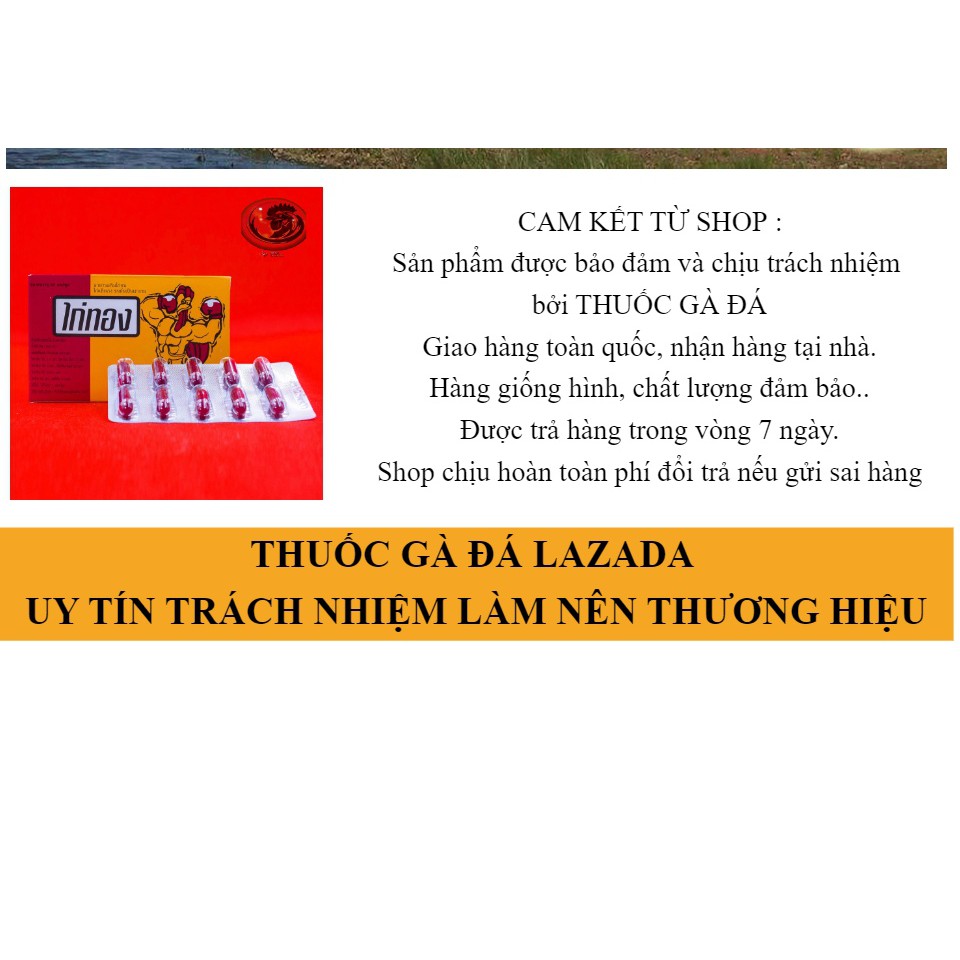KÍCH LỰC KAITONG GÀ ĐÁ - HỘP 2 VỈ 20 VIÊN