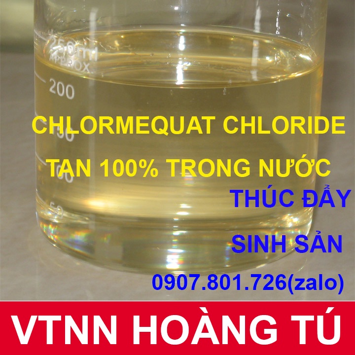Chlormequat Chloride CCC 98% - kiểm soát đâm chồi, thúc đẩy sinh sản - gói 50g