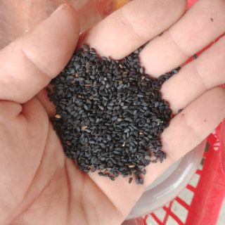 Vừng đen 500g