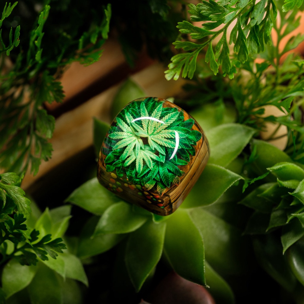 Keycap Artisan bàn phím cơ Dwarf Factory TERRARIUM V2  - Hàng chính hãng