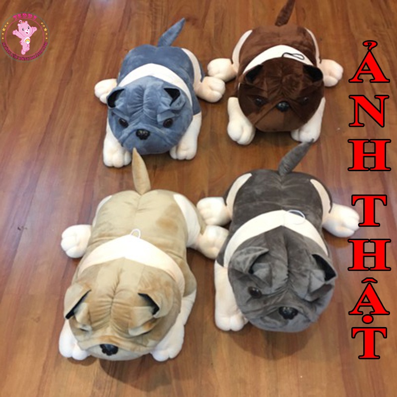 Gấu Bông Chó Nhăn Mặt Xệ Size 35Cm Nhiều Màu Sắc Chất Liệu Cao Cấp Nhồi Bông Gòn Trắng Tinh Khiết