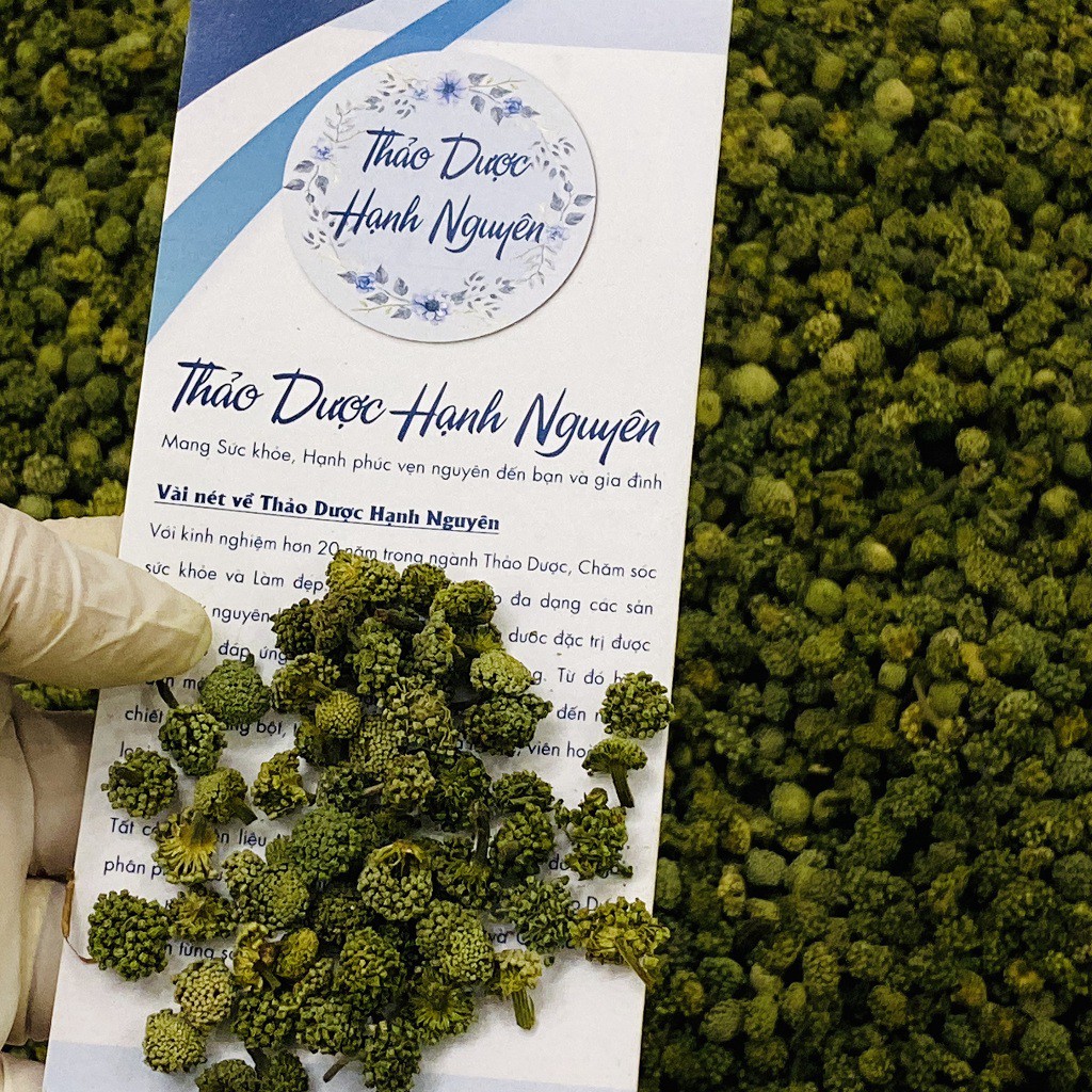 [Video thật] Nụ Hoa Tam Thất (Loại xịn, không cuống)_Hộp 100gr-250gr [Organic] | BigBuy360 - bigbuy360.vn