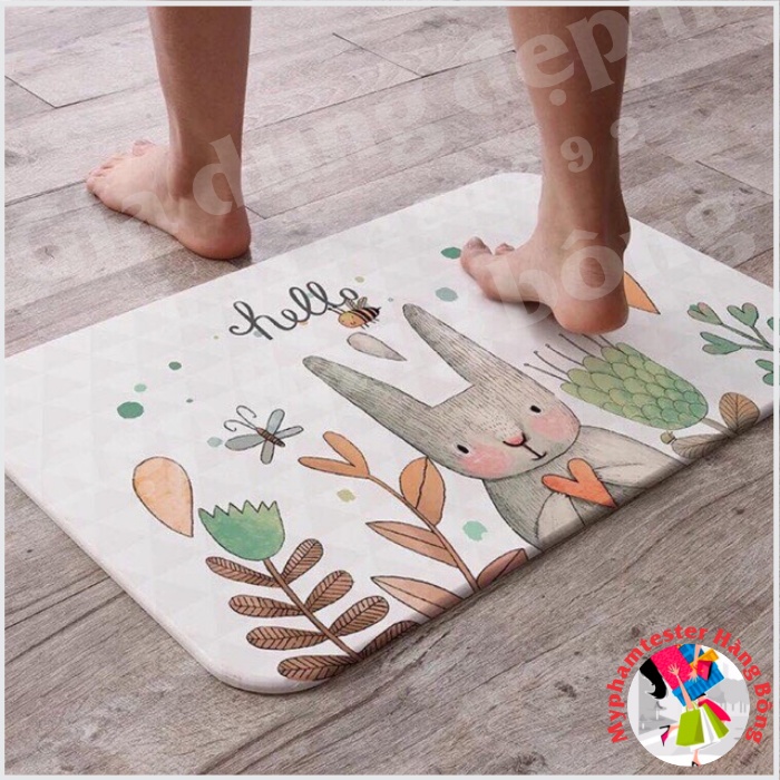 Thảm đá siêu thấm nước hàng xuất Nhật 40x60cm