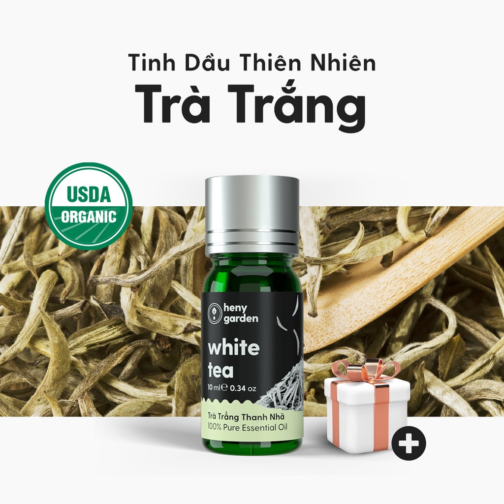 Tinh Dầu Trà Trắng Organic Thiên Nhiên Nguyên Chất Đậm Đặc Xông Thơm Phòng, Làm Nến Thơm HENY GARDEN