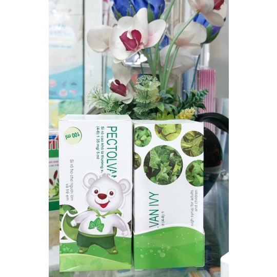 PECTOLVAN IVY siro con gấu từ cao khô lá thường xuân PECTOLVANIVYB