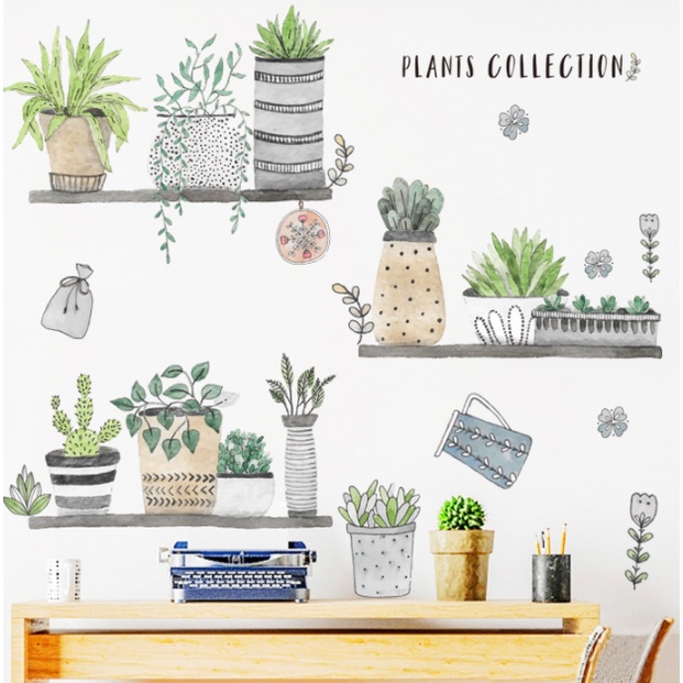 Decal trang trí tường - Những chậu cây kiểng