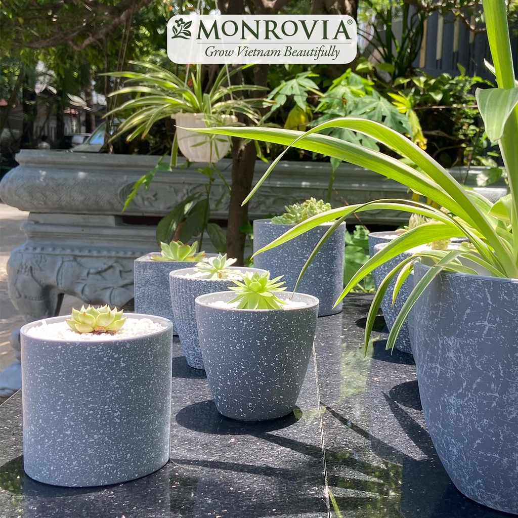 Chậu trồng cây mini MONROVIA M9 xám vân đá cao cấp cho sen đá, xương rồng, để bàn