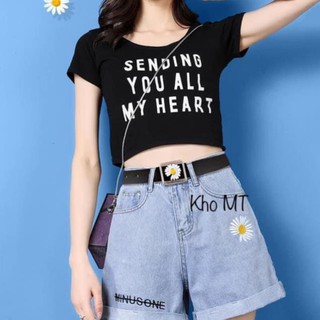 Thắt lưng hoa cúc mặt vuông