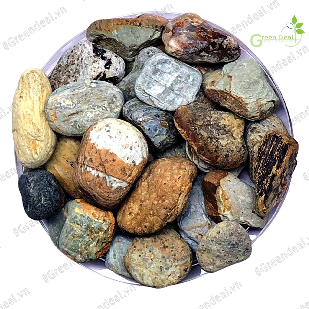 FEMOLAY - Natural Stream Sand & Gravel  | Cát, sạn, sỏi suối tự nhiên trãi nền trang trí hồ cá thủy sinh