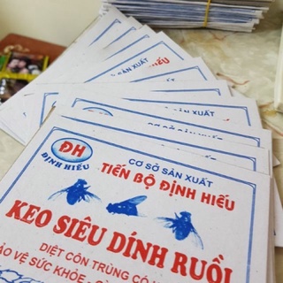 Combo 5 miếng dán ruồi Loại 1