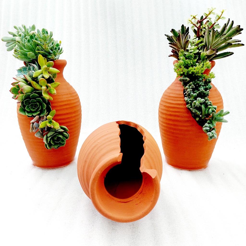Chậu đất nung, Chậu sen đá - Bình hoa 925, miệng chậu 9cm, chiều cao 25cm