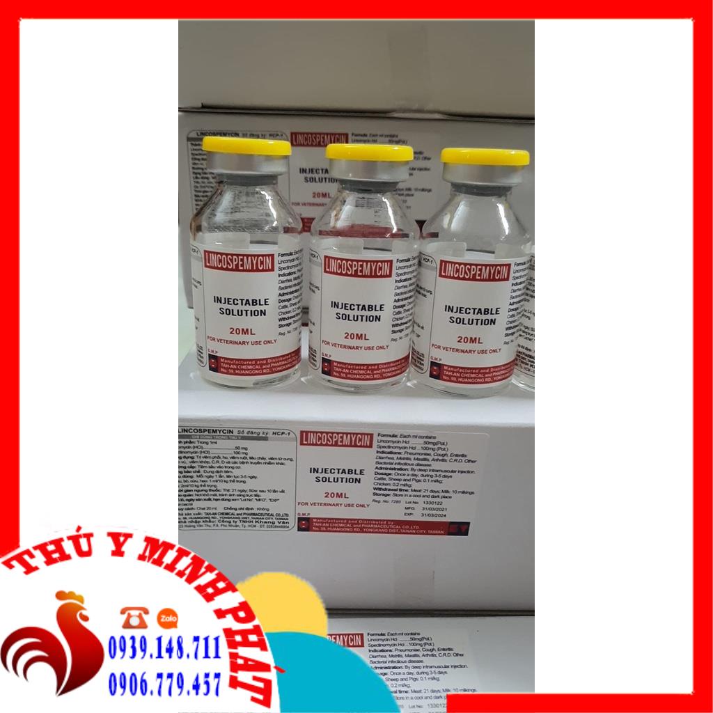 Linco Đài Loan Lincospecmycin chai 20ml cho gà đá