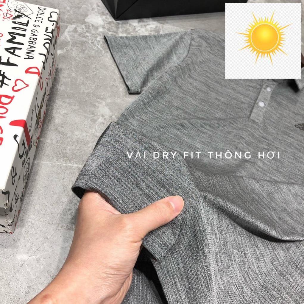 🎃 Áo polo thể thao gym nam bigsize cao cấp áo thun cổ bẻ nam xuất khẩu APTTB 13 - 001 🎃