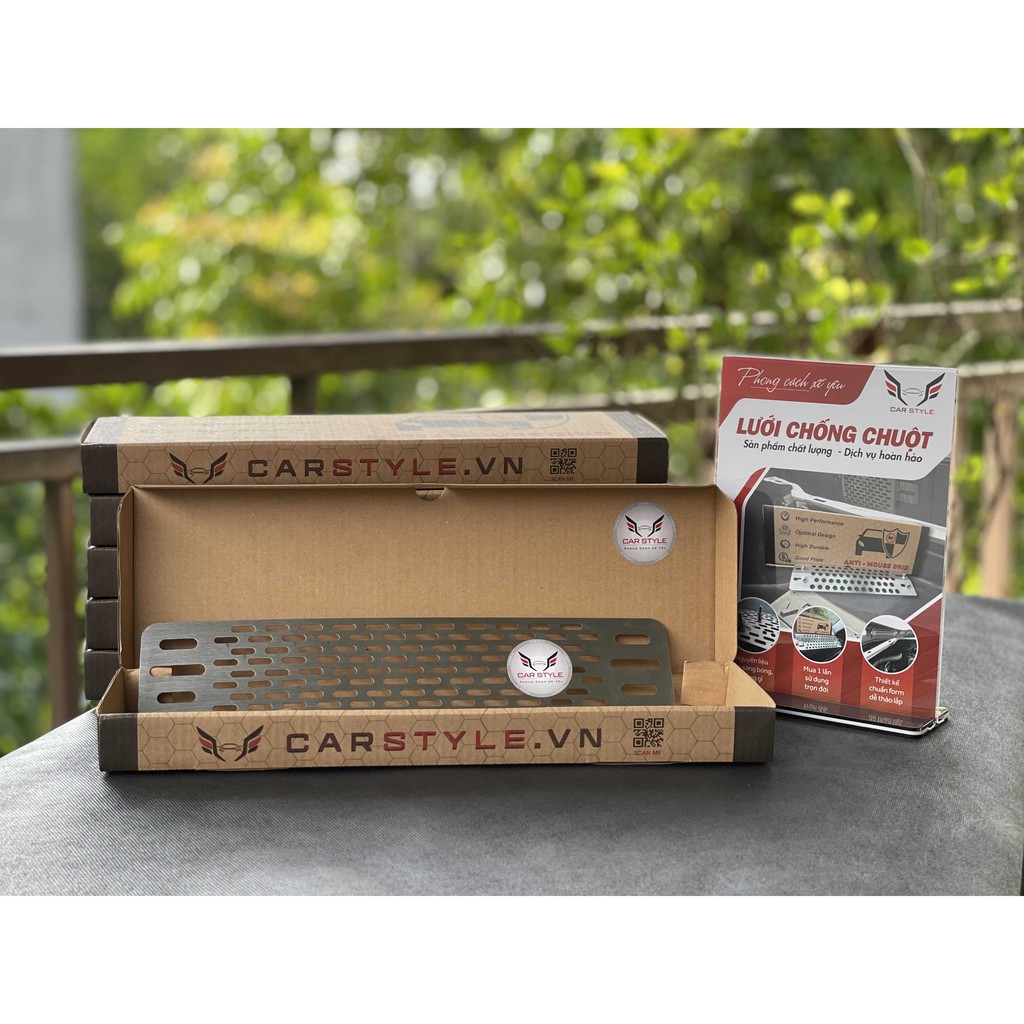 Lưới chống chuột ô tô Toyota Wigo