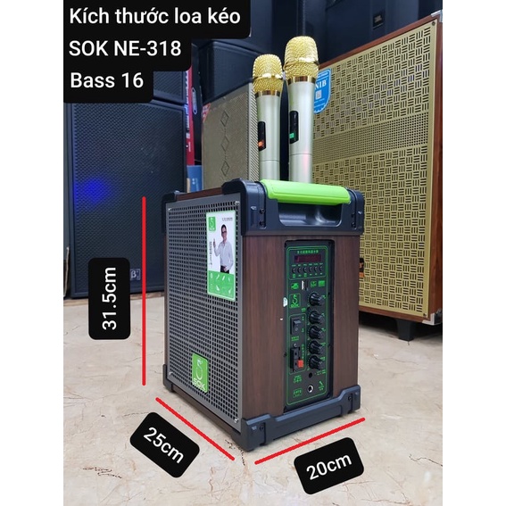 Loa kéo Karaoke Bluetooth SOK NE-318: Phiên bản 2022, Bass 16, Có 2 Micro không dây đi kèm